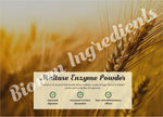 Maltase Enzyme Powder-Bioven Ingredients