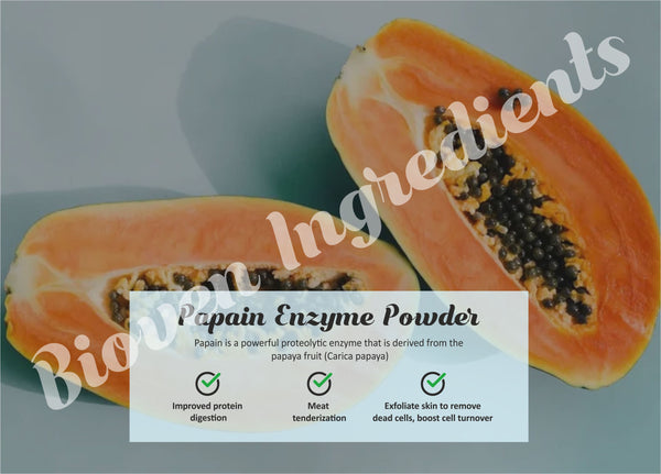 Papain Enzyme-Bioven Ingredients