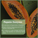 Papain Enzyme-Bioven Ingredients