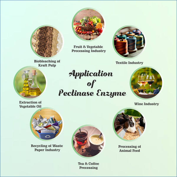 Pectinase Enzyme_Bioven Ingredients