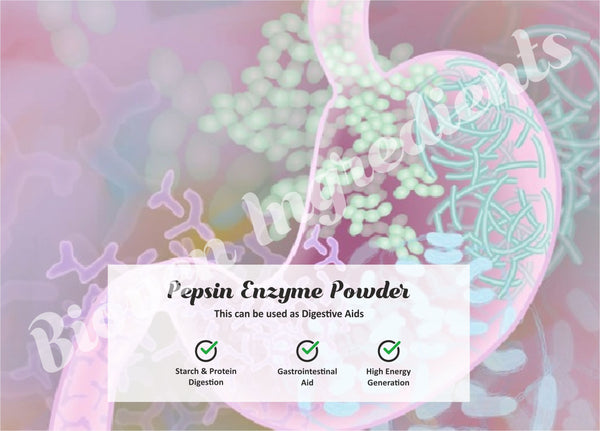 Pepsin Enzyme -Bioven Ingredients