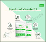 Bioven Ingredients Vitamin B5